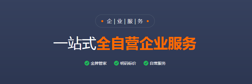 注冊一般納稅人